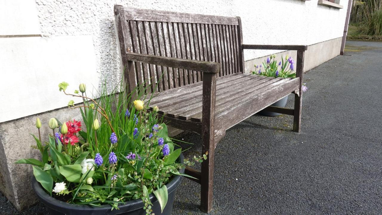 Goldenhill Guesthouse Omagh Dış mekan fotoğraf